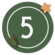 5