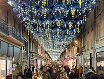 Agrandir l'image (fenêtre modale)